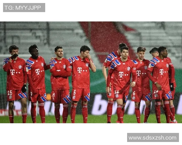 拜仁慕尼黑与弗赖堡激战回顾16至17赛季精彩瞬间与战术分析