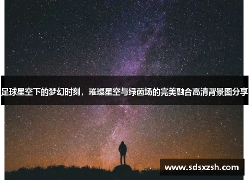 足球星空下的梦幻时刻，璀璨星空与绿茵场的完美融合高清背景图分享